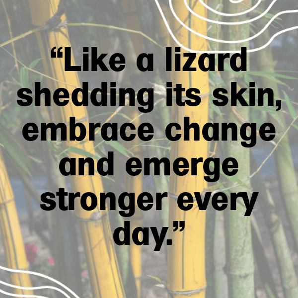 Lizard Captions Photo For Instagram-mSuhD7