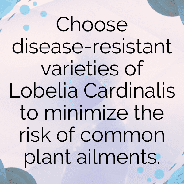 Lobelia Captions Image For Instagram-75ue7l