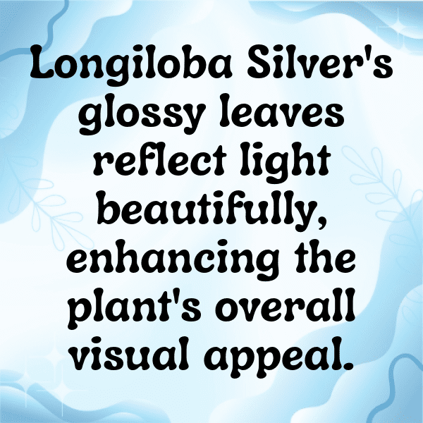 Lobelia Captions Image For Instagram-iNMSCJ