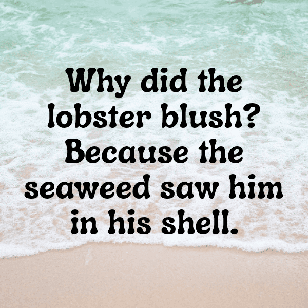 Lobster Captions Image For Instagram-3Ujr13