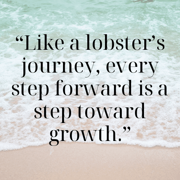 Lobster Captions Image For Instagram-MVcyrQ