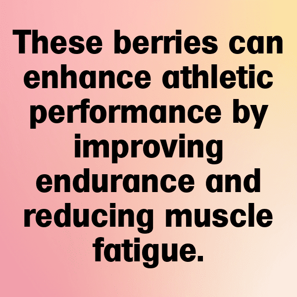 Loganberry Captions Image For Instagram-4J0TIy