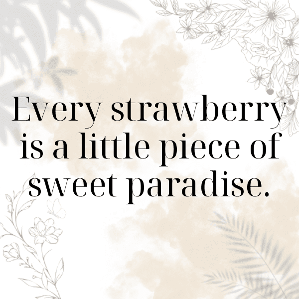 Loganberry Captions Image For Instagram-V1t4wK