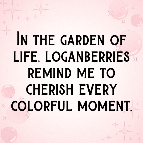 Loganberry Captions Photo For Instagram-gSc7xM