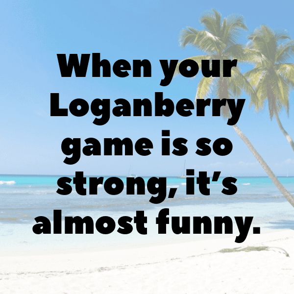 Loganberry Captions Photo For Instagram-kU2B1p