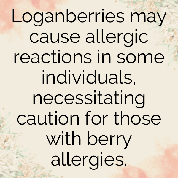 Loganberry Captions Photo For Instagram-lEY8S5