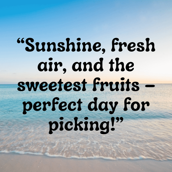 Loganberry Captions Photo For Instagram-oGCV5v