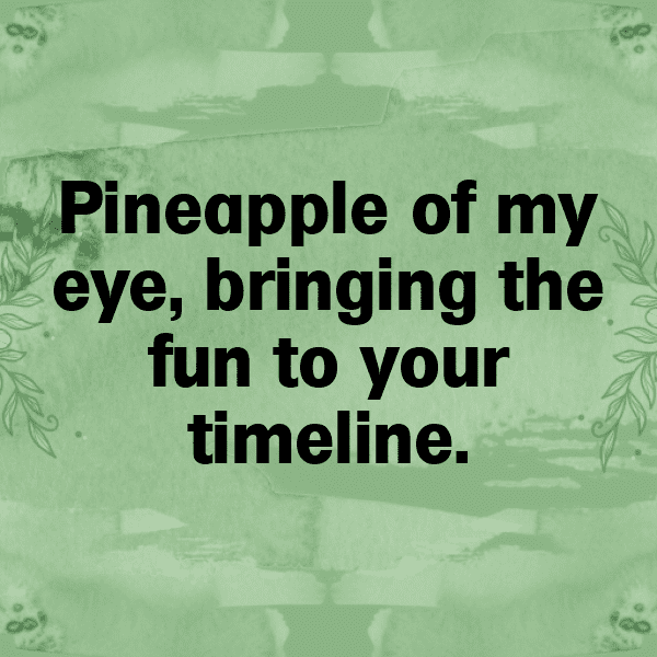 Longan Captions Image For Instagram-NQvtgE