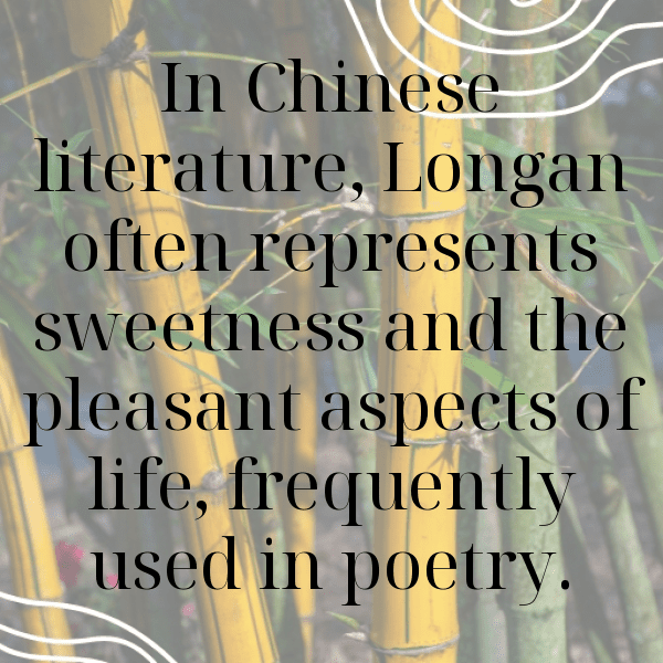 Longan Captions Photo For Instagram-JuPaua