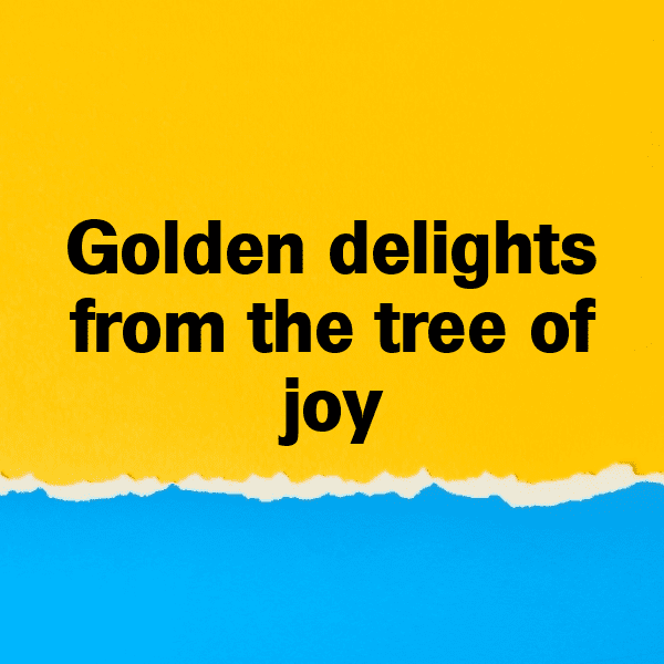 Loquat Captions Image For Instagram-jWMMdC