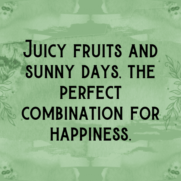 Loquat Captions Image For Instagram-pgEPwk