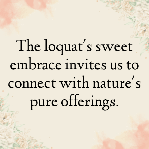 Loquat Captions Photo For Instagram-IFK6Me