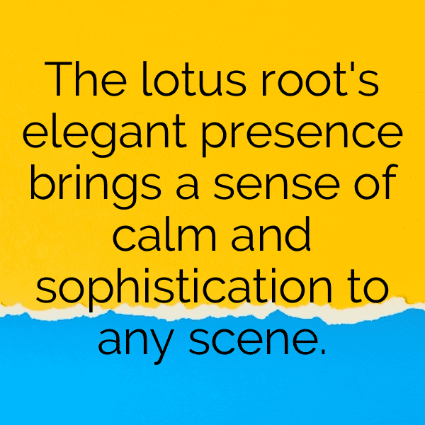 Lotus Root Captions Image For Instagram-VZxOvE