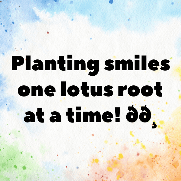 Lotus Root Captions Photo For Instagram-5o7ECG