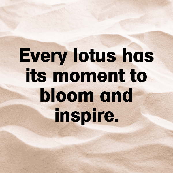 Lotus Root Captions Photo For Instagram-b8AUoh