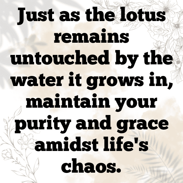 Lotus Root Captions Photo For Instagram-ZRBeb3