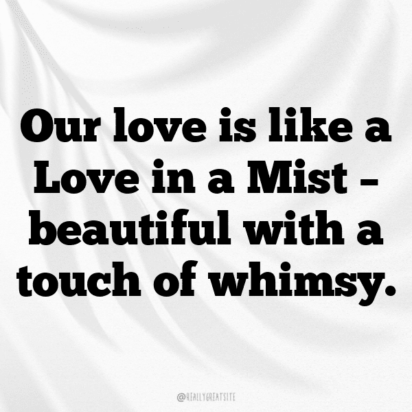 Love-in-a-Mist Captions Image For Instagram-wp6Koi