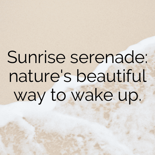 Luge Captions Image for Instagram-xSRlI9