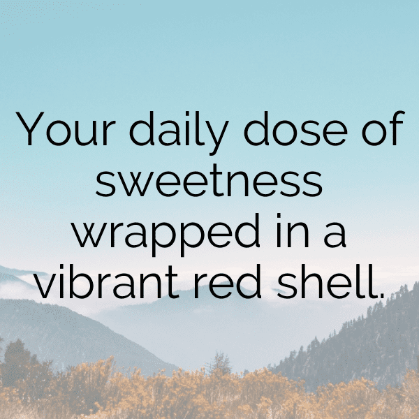 Lychee Captions Image For Instagram-UY6Otg