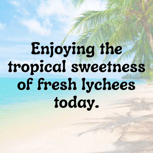 Lychee Captions Photo For Instagram-VbWqqE