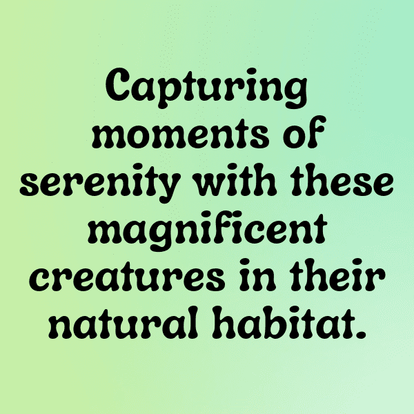 Macaw Captions Image For Instagram-9ElpfZ