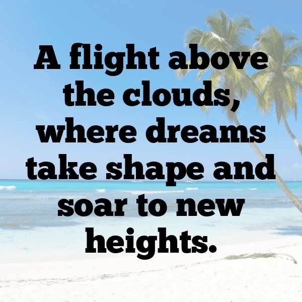 Macaw Captions Image For Instagram-9yLYym