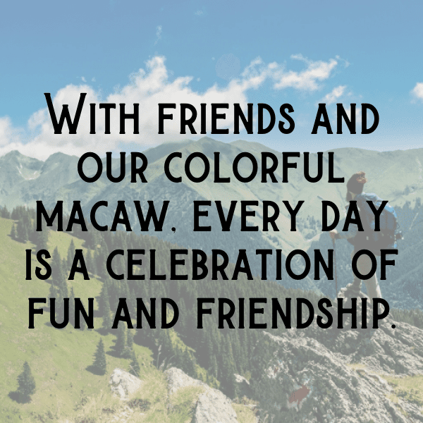 Macaw Captions Image For Instagram-fSUx8s