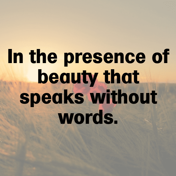 Macaw Captions Image For Instagram-S4CNbx