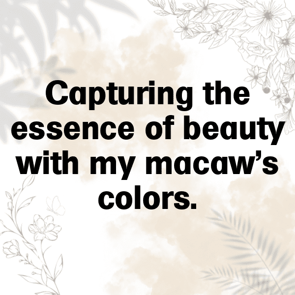 Macaw Captions Photo For Instagram-0gh5nn