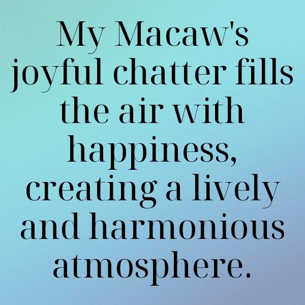 Macaw Captions Photo For Instagram-0THH9e