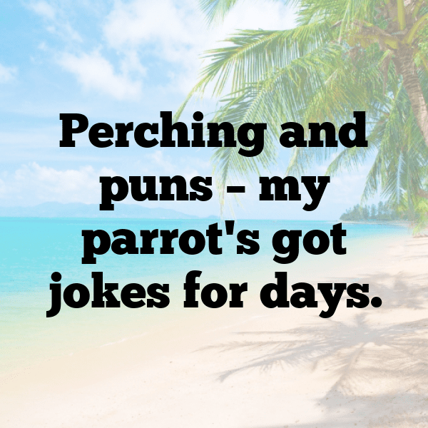 Macaw Captions Photo For Instagram-9r0iN6