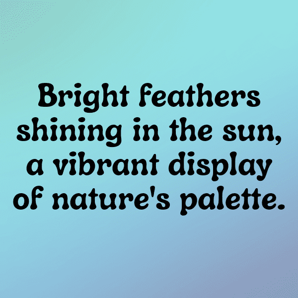 Macaw Captions Photo For Instagram-QGcoj5