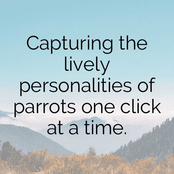 Macaw Captions Photo For Instagram-qzwdKL