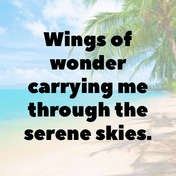 Macaw Captions Photo For Instagram-U3OLLO