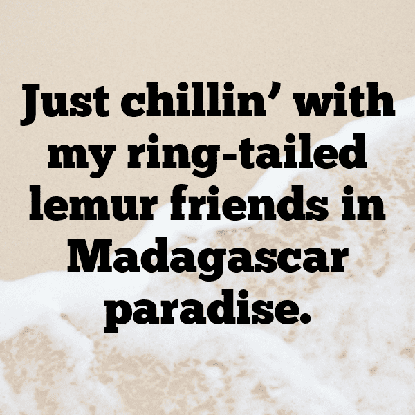 Madagascar Captions Image For Instagram-GJ2eyp