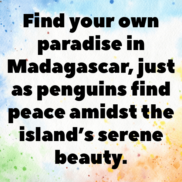 Madagascar Captions Image For Instagram-SauwVE