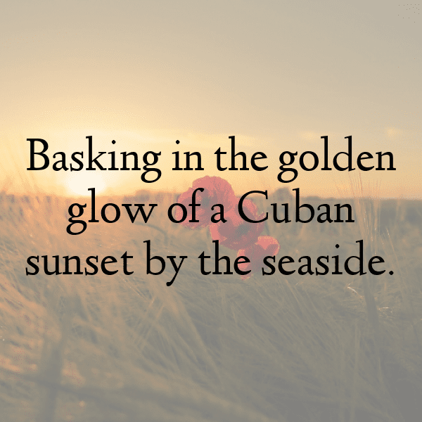 Madagascar Captions Photo For Instagram-N7EpV9