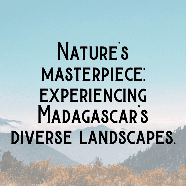 Madagascar Captions Photo For Instagram-YdREIT