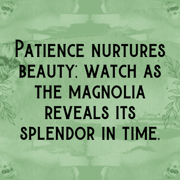 Magnolia Captions Image For Instagram-0u6UkX