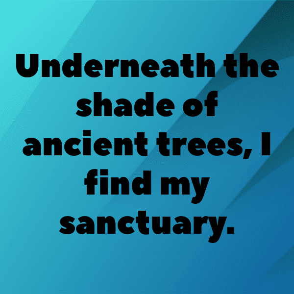 Magnolia Captions Image For Instagram-PwwW9C