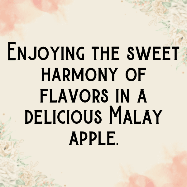 Malay Apple Captions Image For Instagram-Icuhl9