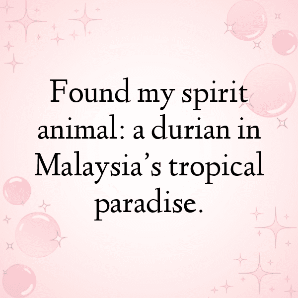 Malaysia Captions Photo For Instagram-oMWHM1