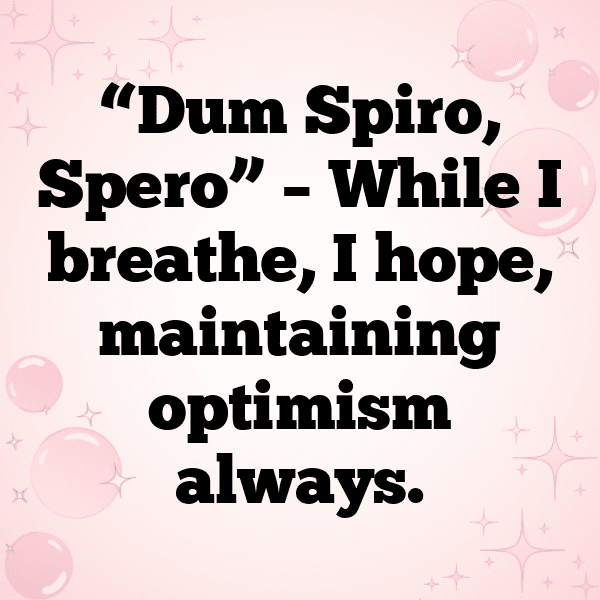 Malta Captions Image For Instagram-mE8kxZ