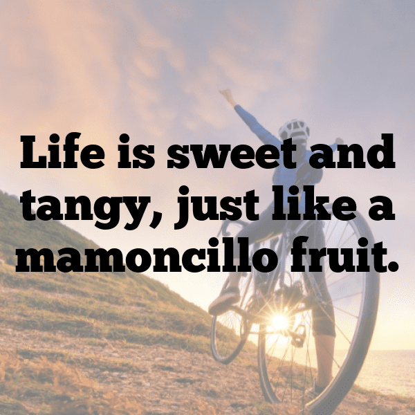 Mamoncillo Captions Photo For Instagram-VOF3FL