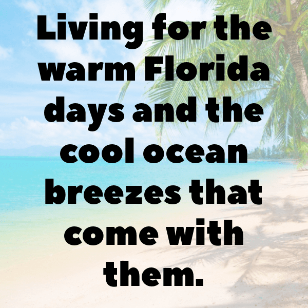 Manatee Captions Image For Instagram-7w9p3C