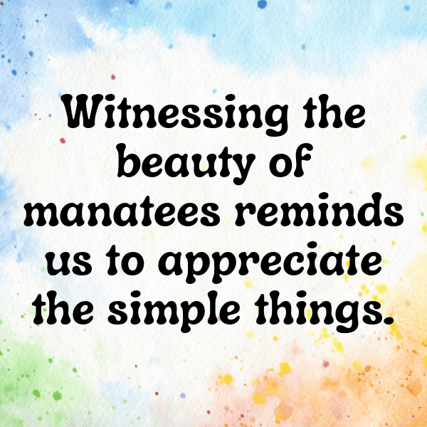 Manatee Captions Image For Instagram-FFDg0a