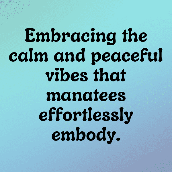 Manatee Captions Image For Instagram-OUMFaC