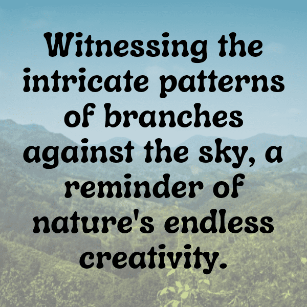 Manatee Captions Image For Instagram-rg0uDz