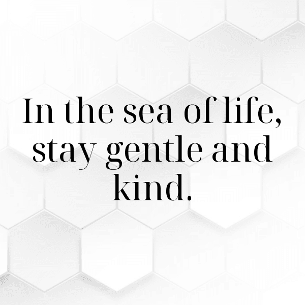 Manatee Captions Image For Instagram-VrBlt4