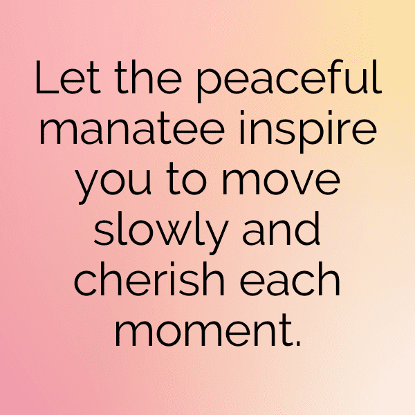 Manatee Captions Photo For Instagram-e3gtov